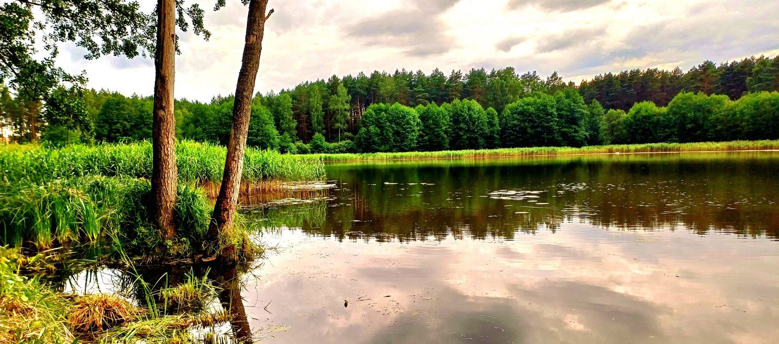 Łowisko Jakubek – łowisko w Wilcze Błota